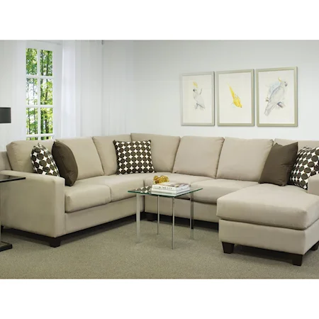 2 Piece Sectional with Chaise